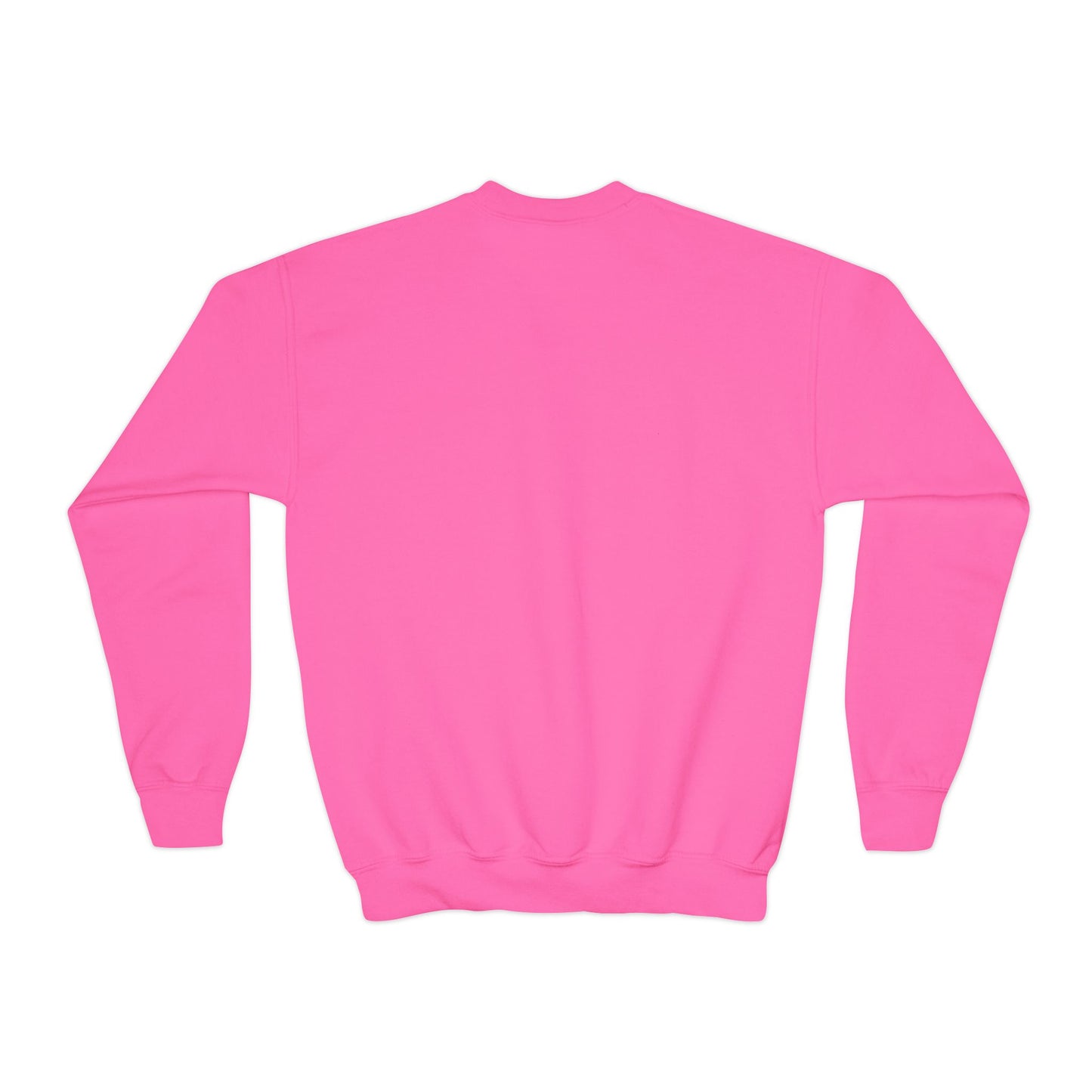 Youth Ferris Estates Sweatshirt