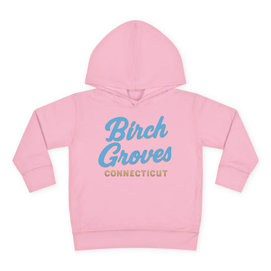 Birch Grove Toddler Hoodie